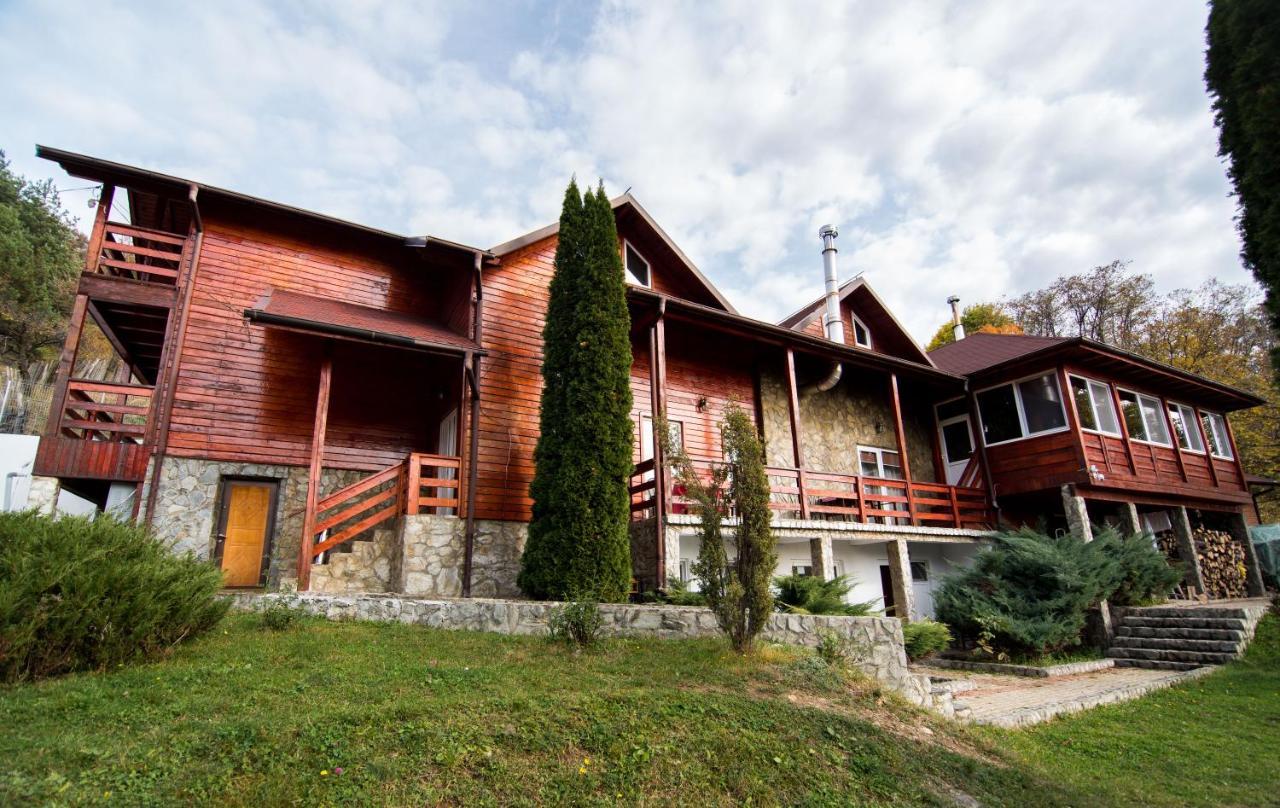 바이아 데 피에르 Casa Domneasca 빌라 외부 사진