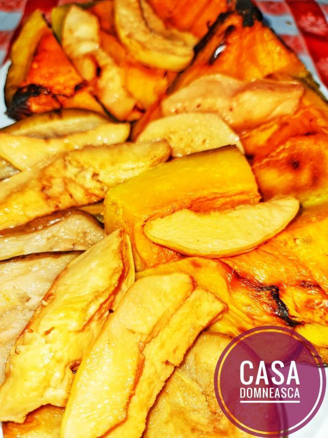 바이아 데 피에르 Casa Domneasca 빌라 외부 사진