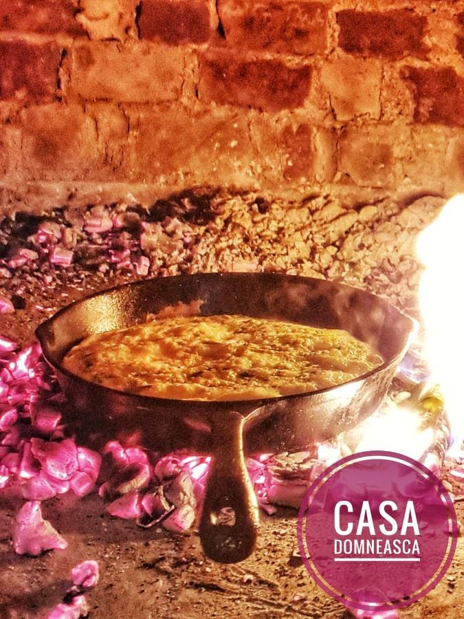 바이아 데 피에르 Casa Domneasca 빌라 외부 사진