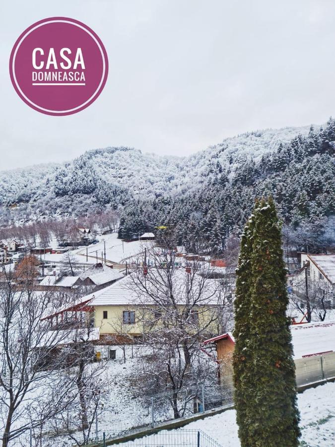 바이아 데 피에르 Casa Domneasca 빌라 외부 사진