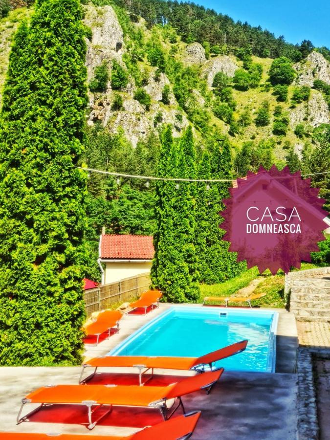 바이아 데 피에르 Casa Domneasca 빌라 외부 사진
