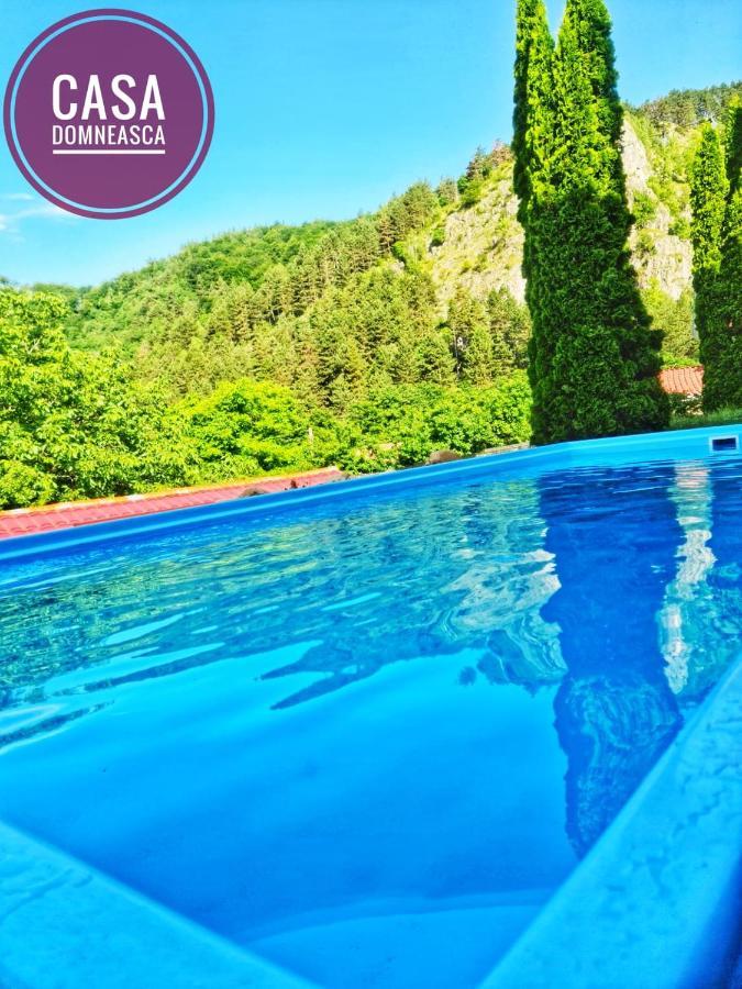 바이아 데 피에르 Casa Domneasca 빌라 외부 사진